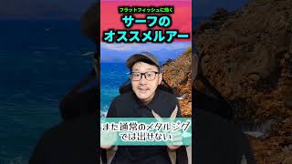 【3選】フラットフィッシュに効く！サーフおすすめルアー３選【顔平族】