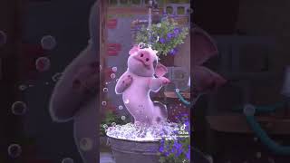 #cute #pig dancing