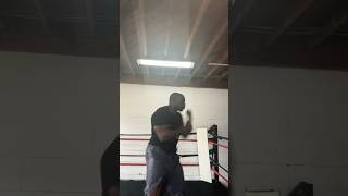 Diligently! #stoicism #boxing #shadowboxing #boxingexercise #stoic #training #independenceday