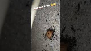 Bayanihan Be Like | Presented by Black Ants Warrior 😅🤣