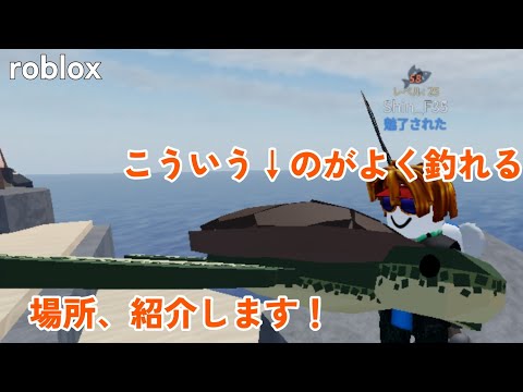 ロブロックス　フィッシュでよく釣れる所を紹介します！