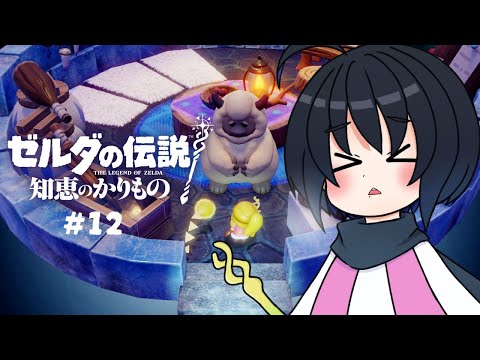 【ゼルダの伝説 知恵のかりもの】コンデを探して #12