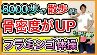 【骨を強化】ウォーキングよりもっと簡単に骨粗鬆症で減った骨密度を強化する1分で出来るダイナミックフラミンゴ体操
