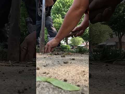 Fix Sunken Concrete Slab DIY #concreterepair #concrete  #chainsaw #shingleroof #tree