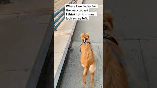 Bruno feels as if he is walking on mars today.