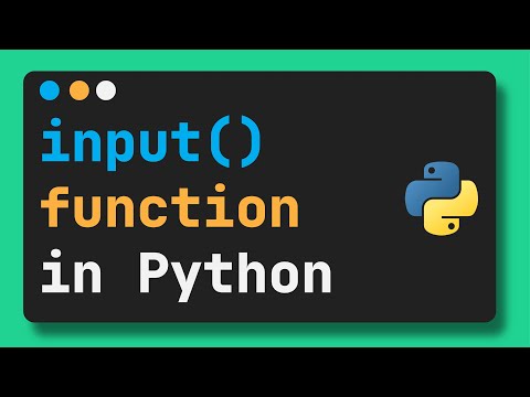 python input function | user input in python with practical example