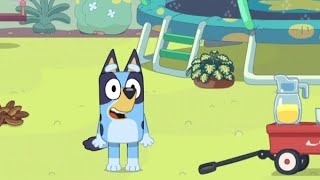 BLUEY HAS GOT A BOO BOO