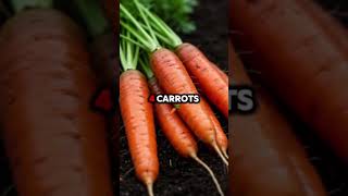 Top ten foods for EYE health 👁️ #top10foods #healthyfood