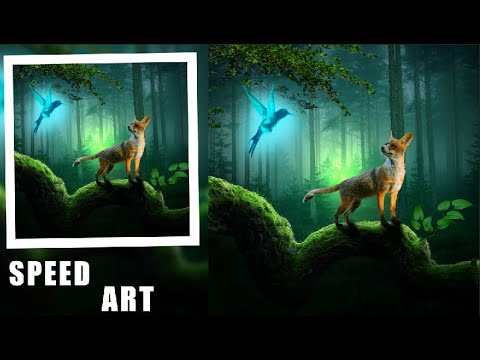 Fantasy Fox - Photoshop Manipulation Speed Art