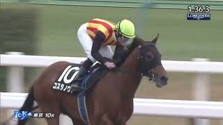 【かしわ記念 出走】コスタノヴァ 全勝利レース (7勝)