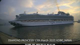 【DIAMOND PRINCESS/ダイヤモンド・プリンセス】2025/3/13 入港
