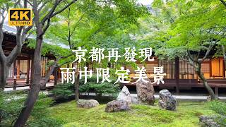 【Kyoto Solo Trip】Rainy Day Exclusive! 4 Kyoto Temples Perfect for Relaxing in the Rain