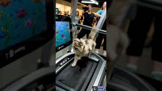 Crazy in a Gym 🏋️‍♂️🤖😂 #funny #aichaos #ai #sports #funnyshorts #gyumin
