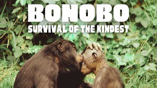 Bonobo: Survival of the Kindest