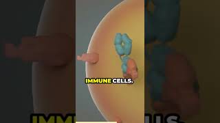 Immune Checkpoints Exposed: The Hidden Power of Your Immune System #immunesystem  #cancercure