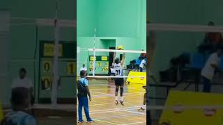 #shortstory #volleyball #volleyballplayer #viralatas #viralata #intags #volley #martintrailer