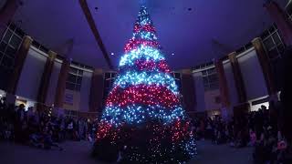 Calvary's Festival Of Lights 2017 (Pixel Mapped Christmas Tree Light Show)