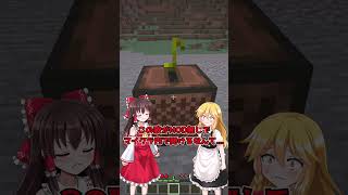 【朗報】溶岩チキン、ついにマイクラに追加される...！？【マイクラ】【ゆっくり実況】#shorts