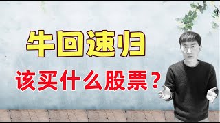 华尔街买入的5支股票，以及我推荐的2支股票