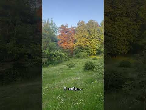 Наша золота година #nature #природа #тихастежка #foryou #asmr #goldtime