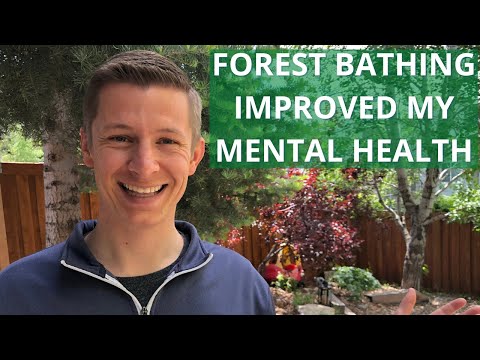 Forest Bathing in My Backyard for Better Sleep, Productivity, Immune Function, and Mental Health