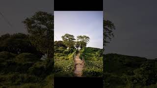 #naturalenvironment #music #lofi #remix #viralvideo #slowedandreverb #bj #a #everything #2025 #love