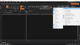 Customize Cakewalk Sonar Control Bar