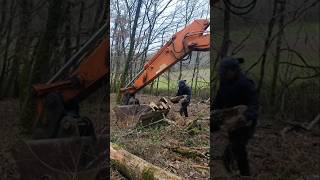 #forest ##woodfarm #woodslife #firewood #wood #forestrylife