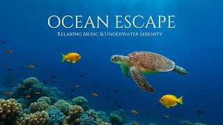 Underwater Serenity |Mesmerizing Marine Life & Calm Music for Relaxation