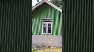 Main or meri tanhai at Dhotrey, Darjeeling #nature #darjeeling #dhotrey #darjeeling_tour