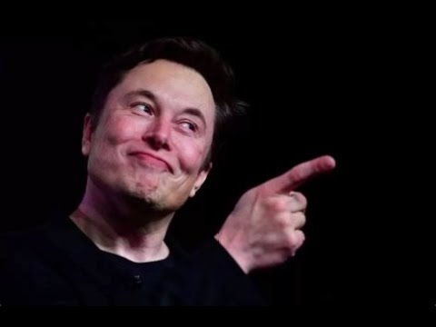 疯涨了三周，我对特斯拉以及各个股票的后续看法和操作