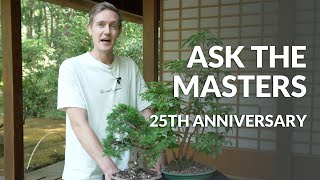 Ask the Masters - Bonsai Empire celebrates 25 years!