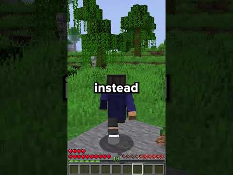 Things To NEVER Do On The DEADLIEST Lifesteal SMP!