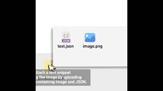 The image Classification Annotation Feature!