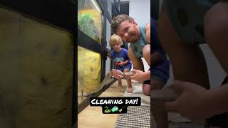🐍Cleaning snake cages! #snake #python #animals