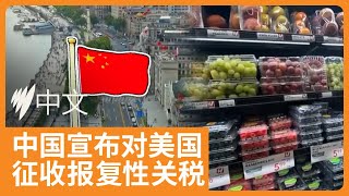 全球贸易战升级：中国政府采取反制措施，对美国农产品加征关税！|SBS中文