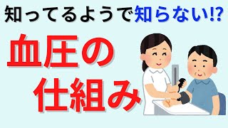 【15分で解説】血圧の仕組みについて解説
