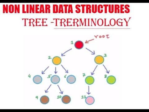TREES - NON LINEAR DATA STRUCTURE