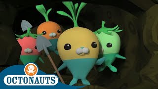 Octonauts - The Vegimals Save the Day! | Full Episodes | Cartoons for Kids