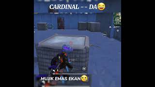 🤯CARDINALNI YOPOLMADM🥲 #pubgmobile #cardinalpubg #cardinal #pubg #pubgvideos #pubgtiktok #lifehack