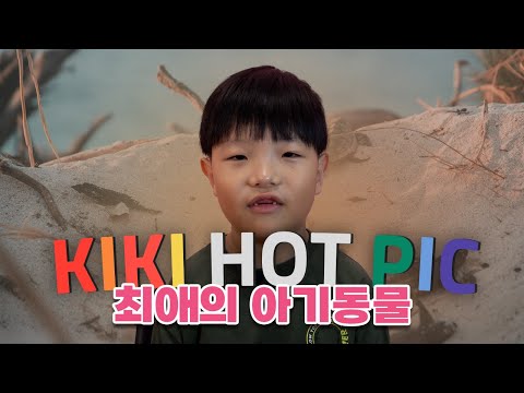 ✨키키핫픽 - 🐶🐱 세상에서 제일 귀여운 건 누구? '