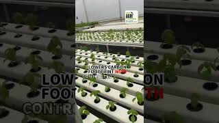 🌱 𝐇𝐲𝐝𝐫𝐨𝐩𝐨𝐧𝐢𝐜𝐬: 𝐓𝐡𝐞 𝐅𝐮𝐭𝐮𝐫𝐞 𝐨𝐟 𝐅𝐚𝐫𝐦𝐢𝐧𝐠! 🚜💧