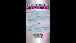 강한 물살을 가로지르는 허민호의 바다수영ㄷㄷ #무쇠소녀단