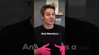 Red Blood Cells and Carbohydrates