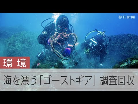 海中に放置された「ゴーストギア」海の環境に影響か　調査回収に同行