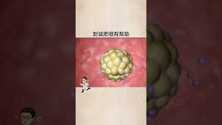 晨跑的優缺點 #跑步 #運動 #晨跑 #優點 #好處 #健康 #減肥 #瘦身 #震烽 #燃脂 #代謝 #早餐 #習慣 #shorts
