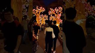 Mid Autumn festival, gardens by the bay, Singapore #singapore #midautumn #gardensbythebaysingapore