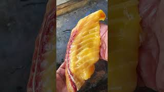 Giant carp cook #outdoors #cooking #fishing #shorts