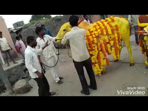 Funny video...must watch😋😋😂😂😂