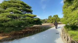 音乐之旅 - 日本京都二条城